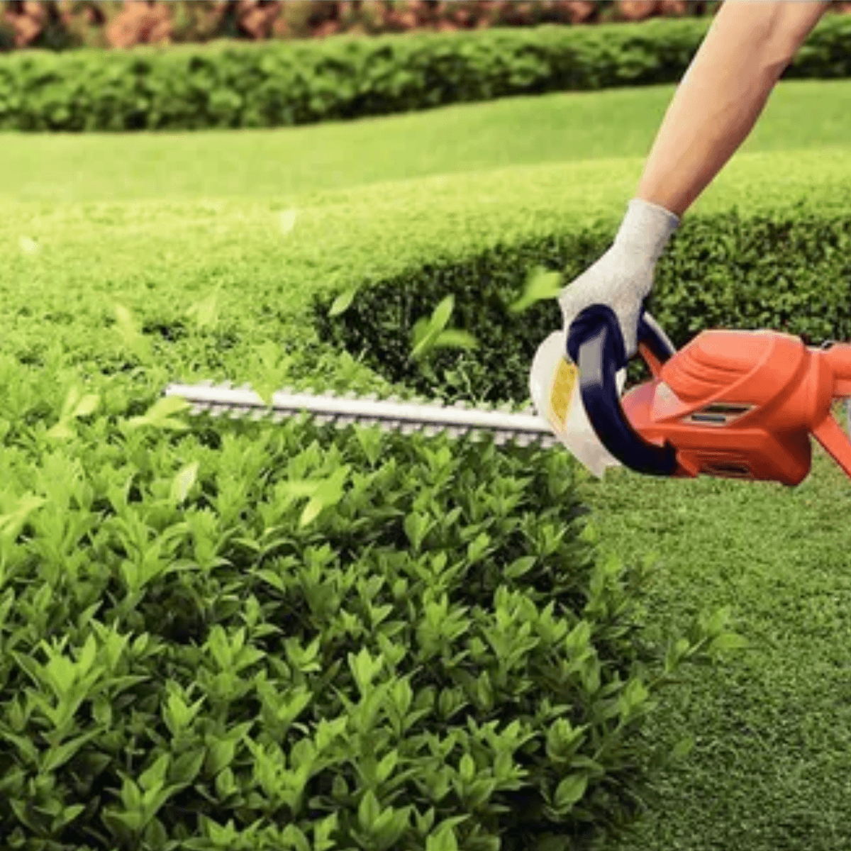 Podador De Cerca Viva Eletrico 220V/600W - Tramontina - Imagem 6