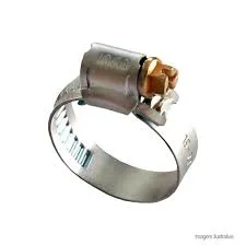 ABRACADEIRA ROSCA S/FIM 3.1/2X4" C/2