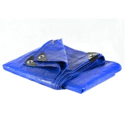 Lona Polietileno 3X3 Azul 100 Micras - Rexon